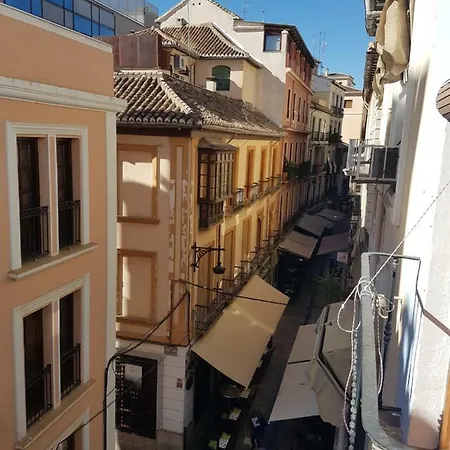 Roseia Granada